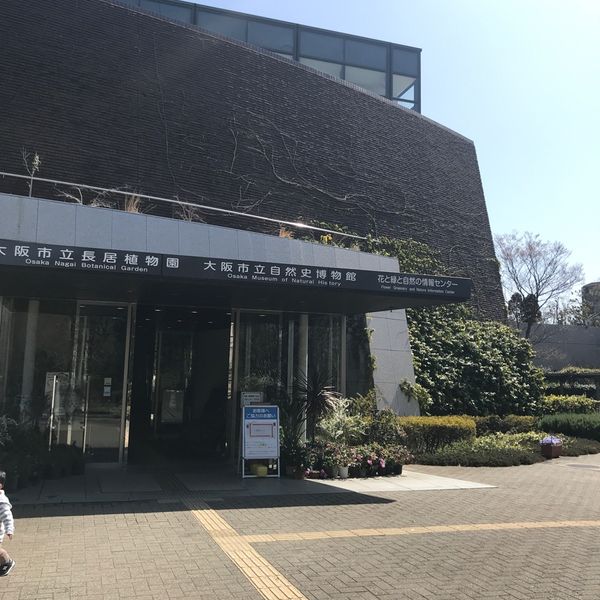 大阪市立自然史博物館 - トップ画像