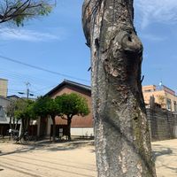夷川 - 投稿画像1
