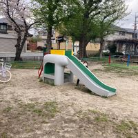 観音池公園 - 投稿画像1