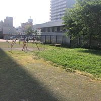 北24条第一公園 - 投稿画像3