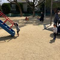 堀田公園 - 投稿画像2