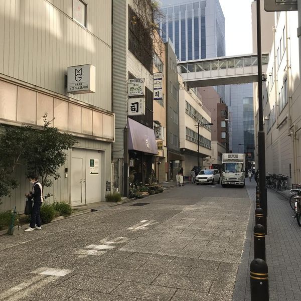 Azuma-dori St. (Ginza 1-5 Chome) - トップ画像