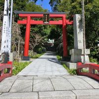 来宮神社 - 投稿画像3