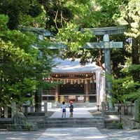 平塚八幡宮 - 投稿画像1