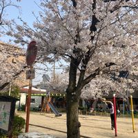 染の井公園 - 投稿画像1