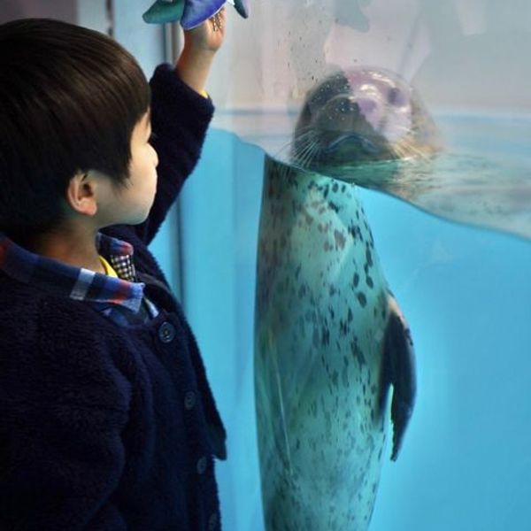 のんほいパーク（豊橋総合動植物公園）動物園 - おすすめ画像