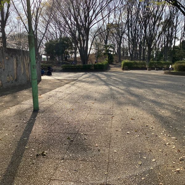 上仲原公園 - トップ画像