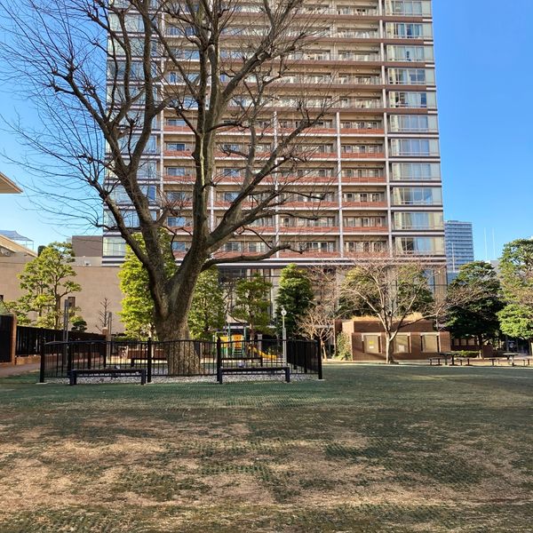 プラタナス公園 - トップ画像