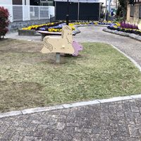 森のみどり公園 - 投稿画像2