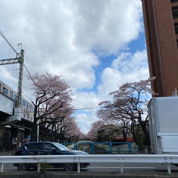 高井戸駅　神田川沿い歩道 - おすすめ画像