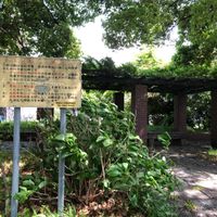 高町 - 投稿画像3
