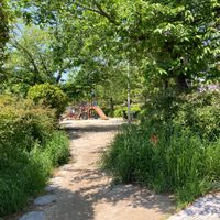 宮が谷池公園 - 投稿画像1