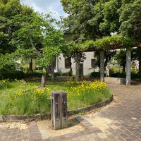青山二丁目街区公園 - 投稿画像0