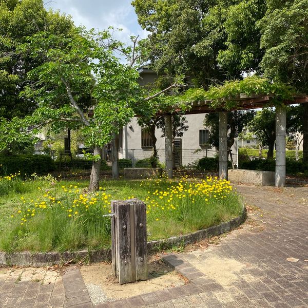 青山二丁目街区公園 - おすすめ画像