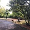 広田山公園 - トップ画像