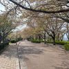 さくら公園 - トップ画像