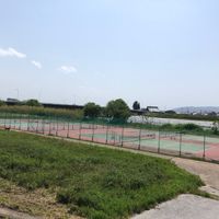 桂川緑地久我橋東詰 - 投稿画像2