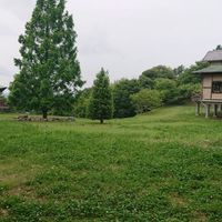 石蓮寺森林公園みんなの森 - 投稿画像0