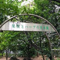 築地川采女橋公園 - 投稿画像2