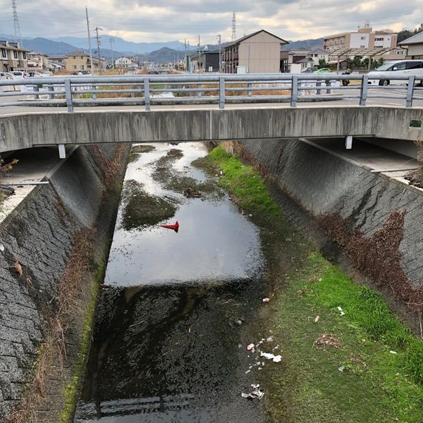 馬越丸田①【日吉川】 - おすすめ画像