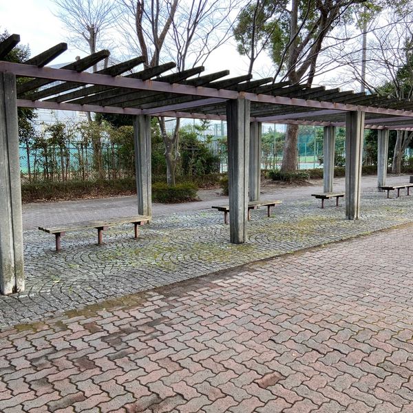 若葉緑道 - トップ画像