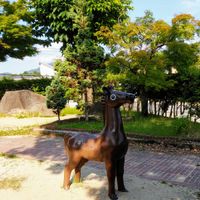 白橿南児童公園 - 投稿画像1