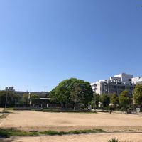 西九条 - 投稿画像0