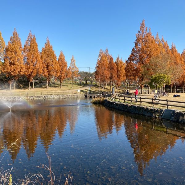 打上川治水緑地 - トップ画像