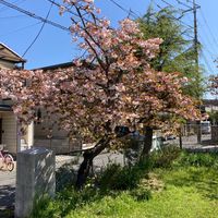 小泉東和苑第二号児童公園 - 投稿画像3