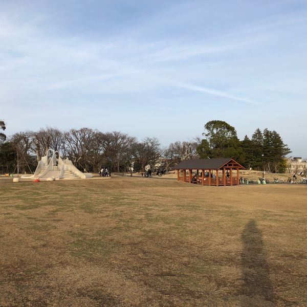 高井戸公園 芝生広場（北地区） - おすすめ画像