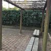 桜新町一丁目広場 - トップ画像