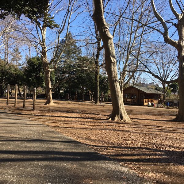 蘆花恒春園 - トップ画像