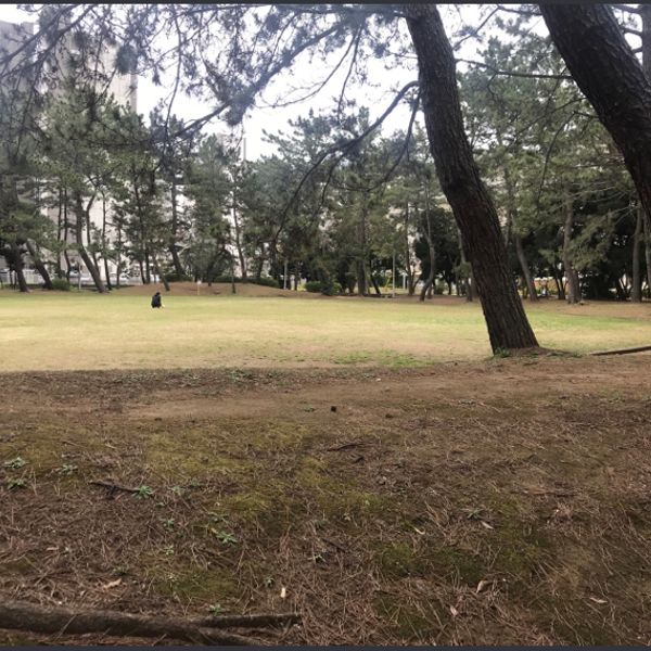 真砂第3公園 - トップ画像
