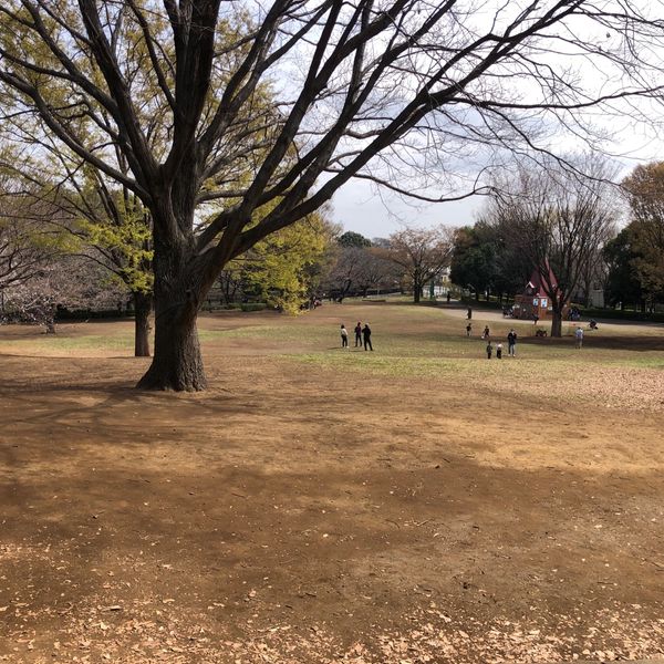 祖師谷公園　見晴らし台 - おすすめ画像