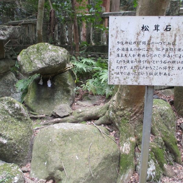 多伎神社松茸石 - おすすめ画像