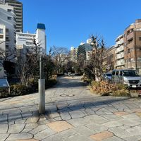 播磨坂さくら並木 - 投稿画像0