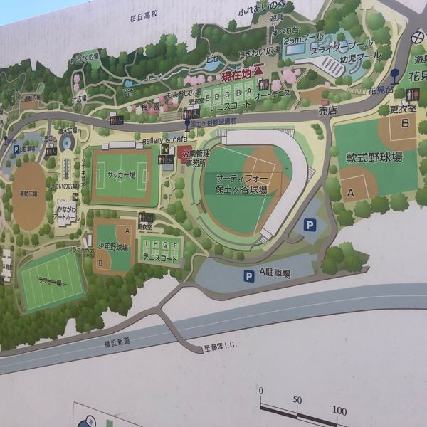 保土ケ谷公園 にぎわい広場 - トップ画像
