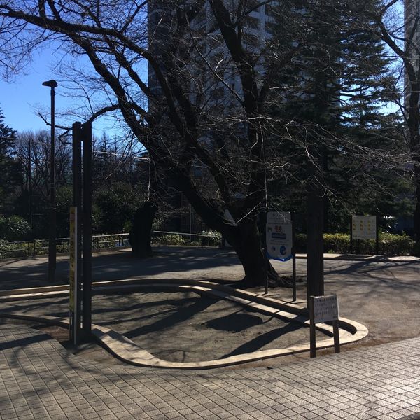 西戸山公園 - トップ画像