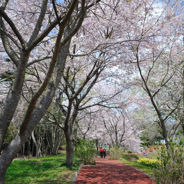 多聞山展望広場公園 - おすすめ画像