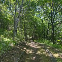 知利別公園 - 投稿画像3