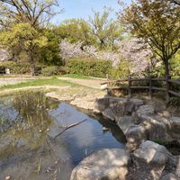 片山公園 - 投稿画像3
