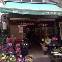 イワタ花店 - 投稿画像0