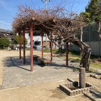 豊南公園 - 投稿画像1