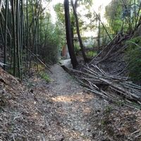 勝手神社 - 投稿画像2