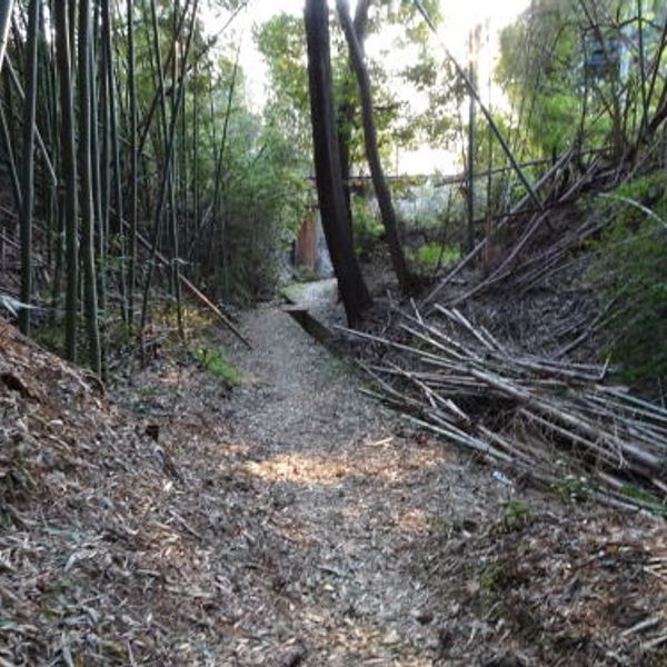 勝手神社 - おすすめ画像