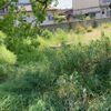 横井第8号街区公園 - トップ画像