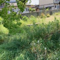 横井第8号街区公園 - 投稿画像0