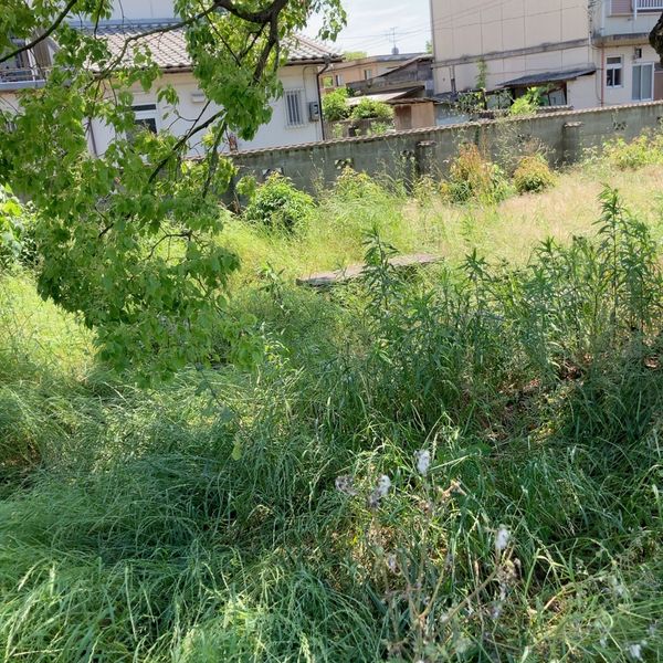 横井第8号街区公園 - おすすめ画像