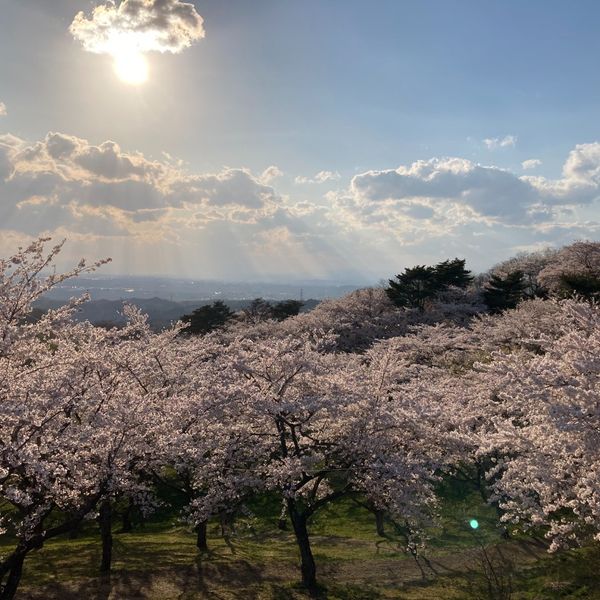 加護坊山 - おすすめ画像