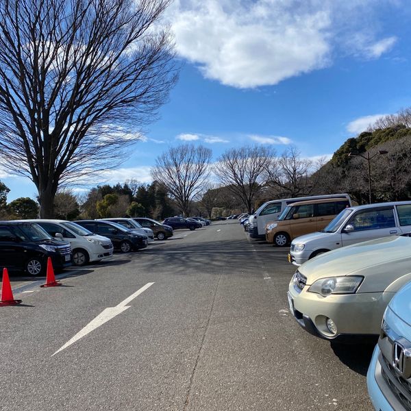 小金井公園 小金井公園第一駐車場 - トップ画像